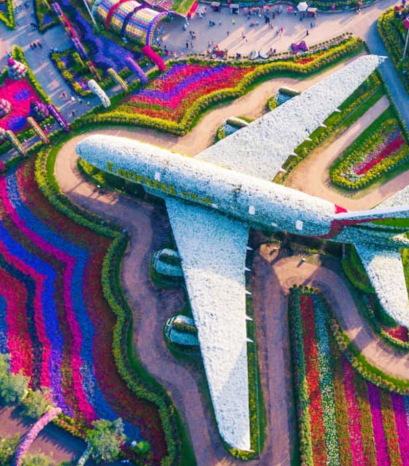 Miracle Garden